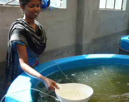 4teachers_aquaculture