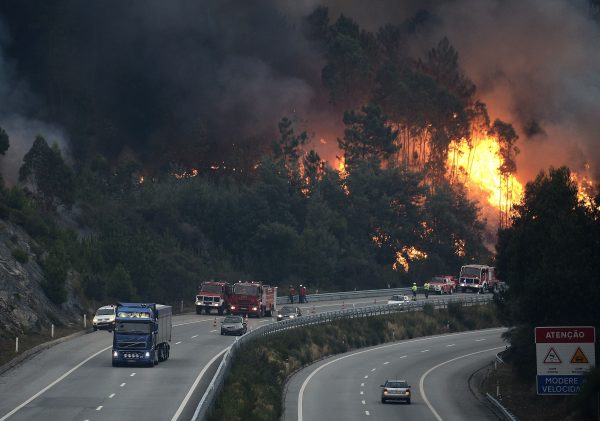 Le Portugal frappé par de nouveaux feux de forêt