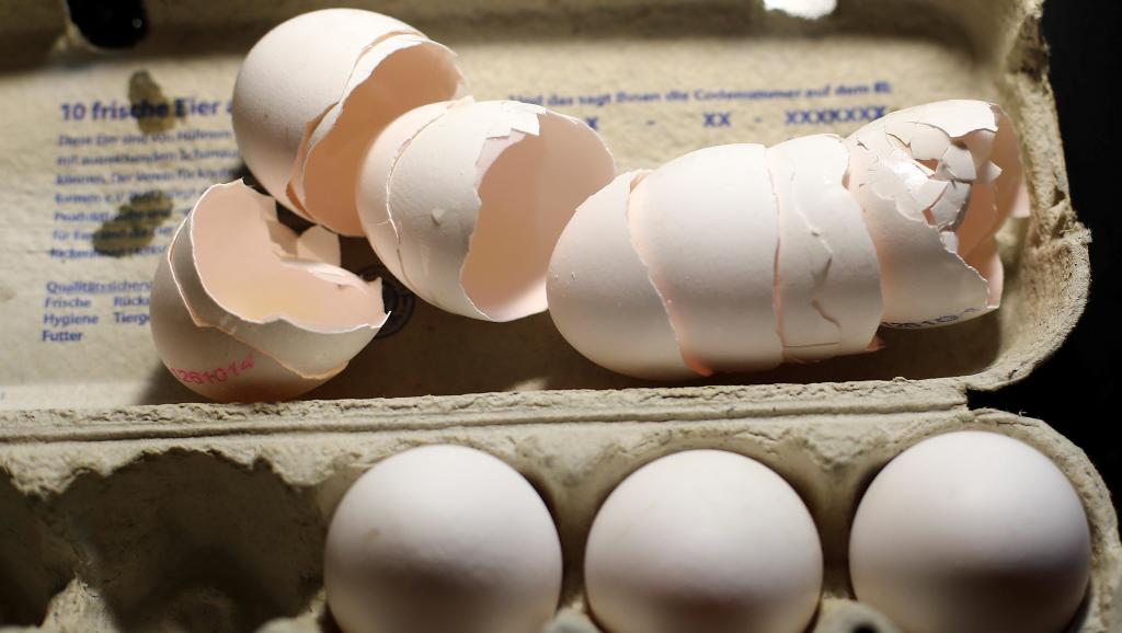 Scandale des œufs contaminés : la Belgique savait depuis juin