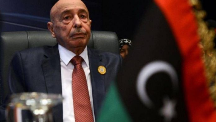 Libye : le Parlement élu appelle à retirer sa légitimité au gouvernement basé à Tripoli