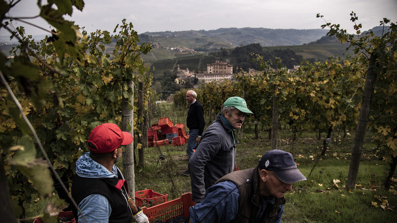 En manque de travailleurs saisonniers agricoles, l’Italie va régulariser 200.000 sans-papiers