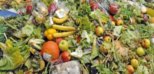Près de 20% de la nourriture disponible gaspillée chaque année dans le monde