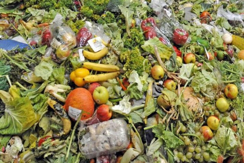 Près de 20% de la nourriture disponible gaspillée chaque année dans le monde