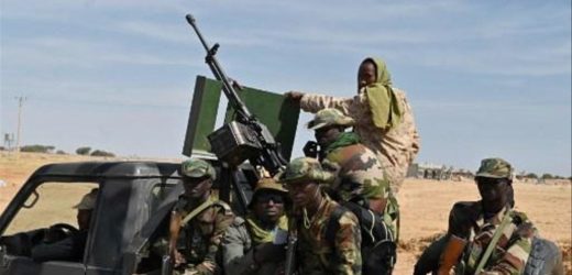 Au moins seize soldats nigériens tués dans une embuscade près de la frontière avec le Mali