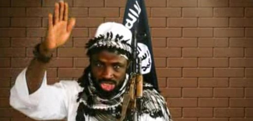 Nigeria : l’Iswap annonce la mort d’Abubakar Shekau