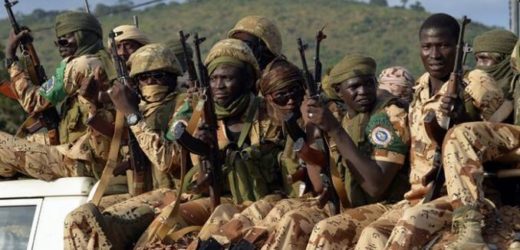 Sahel : Le Tchad réduit de moitié son contingent tchadien dans la zone des trois frontières