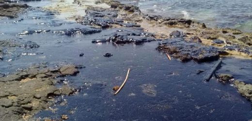 La nappe de pétrole qui menaçait le nord de l’île Chypre s’éloigne