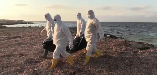 Libye : au moins 70 migrants morts noyés ces deux dernières semaines au large du pays
