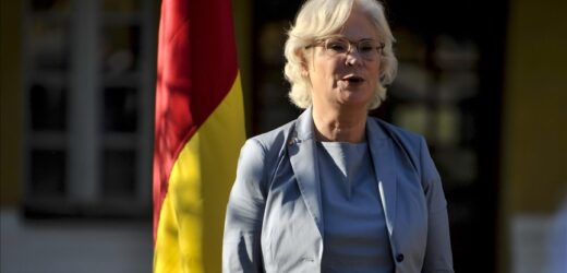 Berlin va arrêter la formation des militaires maliens