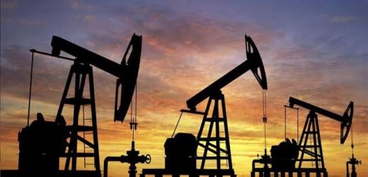 La mise en vente par la RDC de 30 blocs pétroliers et gaziers inquiète les écologistes