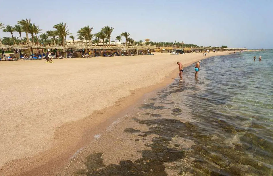 Egypte : Un requin tue deux touristes européennes en mer Rouge